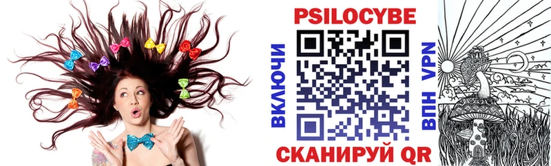 Купить  Почеп  Псилоцибиновые грибы мицелий 